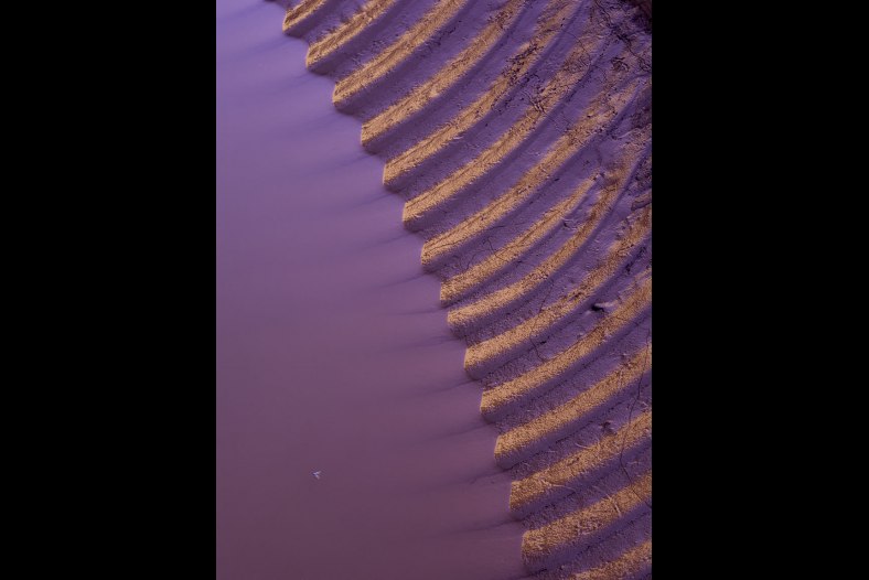 Ribbed pattern in mud from a Lake Powell flash flood